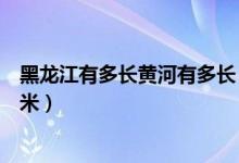 黑龍江有多長黃河有多長（黑龍江長多少千米黃河長多少千米）