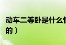 動(dòng)車(chē)二等臥是什么情況（動(dòng)車(chē)二等臥是什么樣的）