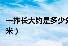 一拃長大約是多少分米（一拃長大約是多少分米）