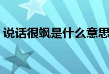 說話很颯是什么意思（說人很颯是什么意思）