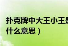撲克牌中大王小王是誰（撲克牌中的大王小王什么意思）