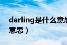 darling是什么意思中文（英語darling什么意思）