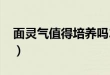 面靈氣值得培養(yǎng)嗎2019（面靈氣值得培養(yǎng)嗎）