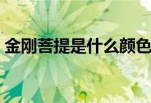 金剛菩提是什么顏色（金剛菩提是什么東西）