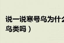 說一說寒號(hào)鳥為什么不是鳥類（寒號(hào)鳥屬于你鳥類嗎）