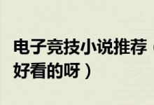 電子競(jìng)技小說推薦（電子競(jìng)技小說有哪些比較好看的呀）