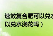 速效復(fù)合肥可以兌水澆多肉嗎（速效復(fù)合肥可以兌水澆花嗎）