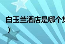 白玉蘭酒店是哪個(gè)集團(tuán)的（白玉蘭酒店幾星級(jí)）