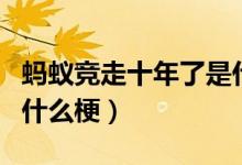 螞蟻競走十年了是什么綜藝（螞蟻競走十年了什么梗）