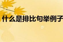 什么是排比句舉例子（排比句的說明及例子）