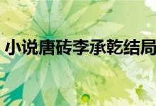 小說唐磚李承乾結(jié)局是什么（小說唐磚結(jié)局）