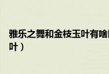 雅樂之舞和金枝玉葉有啥區(qū)別（怎么辨別雅樂之舞和金枝玉葉）