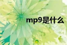 mp9是什么（mp9是什么槍）