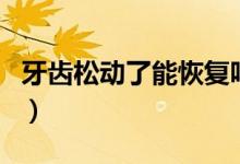 牙齒松動了能恢復(fù)嗎（牙齒松動能自己恢復(fù)嗎）