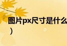 圖片px尺寸是什么意思（圖片px尺寸的解釋）