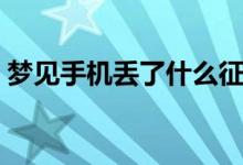 夢見手機(jī)丟了什么征兆（夢見手機(jī)丟了解釋）