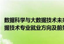 數(shù)據(jù)科學(xué)與大數(shù)據(jù)技術(shù)未來(lái)就業(yè)方向（2022數(shù)據(jù)科學(xué)與大數(shù)據(jù)技術(shù)專業(yè)就業(yè)方向及前景）
