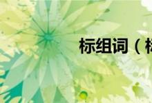 標(biāo)組詞（標(biāo)組詞及解釋）