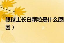 眼球上長白顆粒是什么原因（眼球長了一個(gè)白色顆粒什么原因）