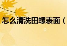 怎么清洗田螺表面（怎么清洗田螺表面苔蘚）