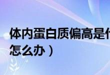 體內(nèi)蛋白質(zhì)偏高是什么原因（體內(nèi)蛋白質(zhì)偏高怎么辦）