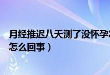 月經(jīng)推遲八天測了沒懷孕怎么辦（月經(jīng)推遲八天測了沒懷孕怎么回事）