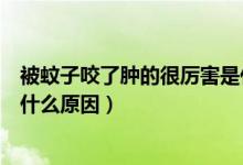 被蚊子咬了腫的很厲害是什么?。ū晃米右Я四[的很厲害是什么原因）
