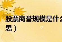 股票商譽(yù)規(guī)模是什么（股票商譽(yù)規(guī)模是什么意思）