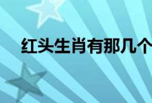 紅頭生肖有那幾個(gè)（紅頭肖指什么生肖）
