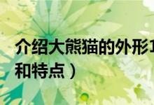 介紹大熊貓的外形100字（介紹大熊貓的外形和特點(diǎn)）