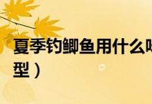 夏季釣鯽魚用什么味型（夏季釣鯽魚用什么味型）