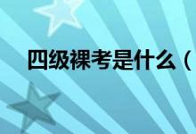四級(jí)裸考是什么（四級(jí)裸考是什么意思）