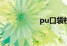 pu口袋校園怎么注冊