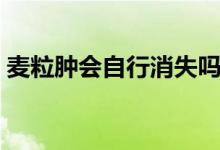 麥粒腫會自行消失嗎（麥粒腫會自行消除嗎）