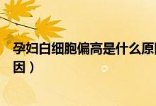 孕婦白細(xì)胞偏高是什么原因分析（孕婦白細(xì)胞偏高是什么原因）
