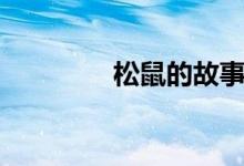 松鼠的故事（松鼠的種類）