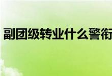 副團級轉(zhuǎn)業(yè)什么警銜（副團級轉(zhuǎn)業(yè)什么級別）