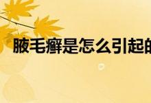 腋毛癬是怎么引起的（腋毛癬是怎么回事）