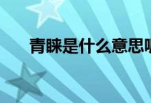 青睞是什么意思呢（青睞是什么意思）