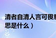 清者自清人言可畏意思（清者自清人言可畏意思是什么）