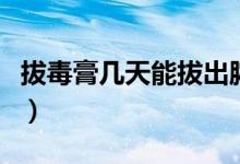 拔毒膏幾天能拔出膿（拔毒膏幾天能拔出膿來）