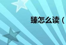 臻怎么讀（是什么意思呢）