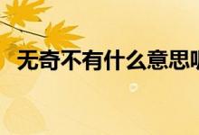 無(wú)奇不有什么意思呢（無(wú)奇不有什么意思）