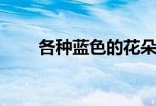 各種藍(lán)色的花朵（各種藍(lán)色的名稱）