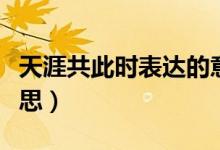 天涯共此時表達(dá)的意思（天涯共此時表達(dá)的意思）