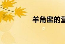 羊角蜜的營養(yǎng)價值是什么