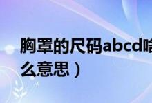 胸罩的尺碼abcd啥意思（文胸尺碼abc是什么意思）
