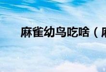 麻雀幼鳥吃啥（麻雀幼鳥吃什么食物）