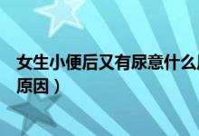 女生小便后又有尿意什么原因（女性剛小便完又有尿意什么原因）