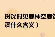 樹(shù)深時(shí)見(jiàn)鹿林空鹿飲溪（林深時(shí)見(jiàn)鹿林空鹿飲溪什么含義）